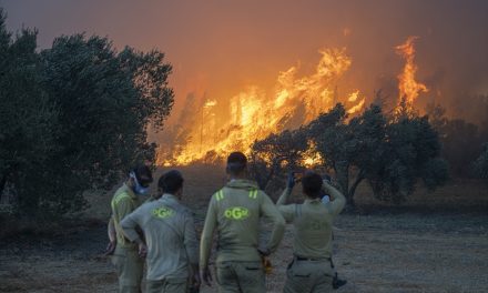 Toplinski val nad Balkanom i Evropom: Molotovljev koktel klimatskih uvjeta