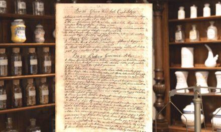 Ljekaruše – blago narodne medicine