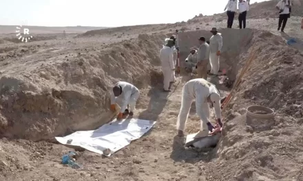 Počelo iskopavanje ogromne masovne grobnice