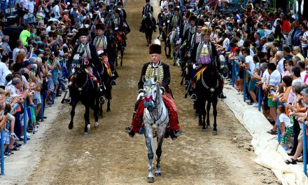 Sinjska alka: Halka zajedničke hrvatsko-turske prošlosti
