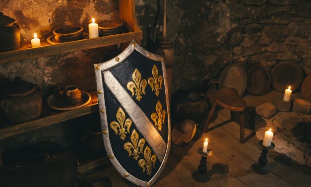 I Bosna svojeg Zmaja ima!