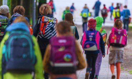 Ni Njemačka nije što je bila: U škole u Tuzlanskom kantonu iz inostranstva se vratilo 136 učenika