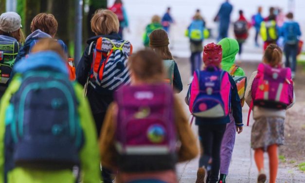 Ni Njemačka nije što je bila: U škole u Tuzlanskom kantonu iz inostranstva se vratilo 136 učenika