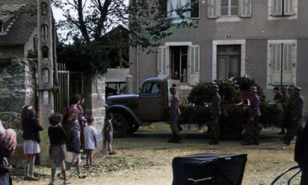 Pobuna Bošnjaka jedina je antifašistička pobuna unutar redova SS-a