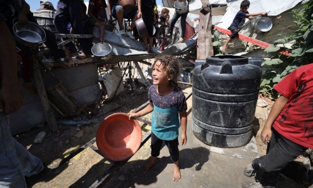 Međunarodni konvoj za Palestinu kreće iz Sarajeva