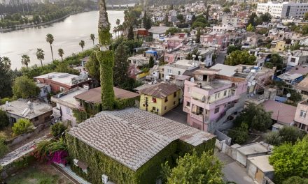 Zelena džamija u Adani: Njeni zidovi i minaret obrasli su bršljanom