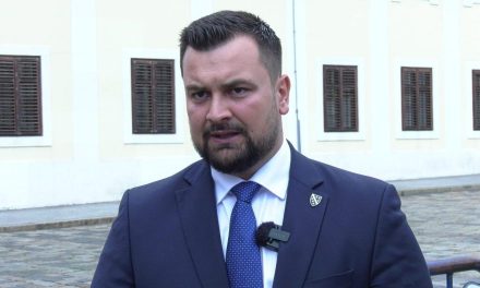 Hodžić o priznanju Palestine: Nema te političke ponude koja može nadomjestiti moju apsolutnu podršku