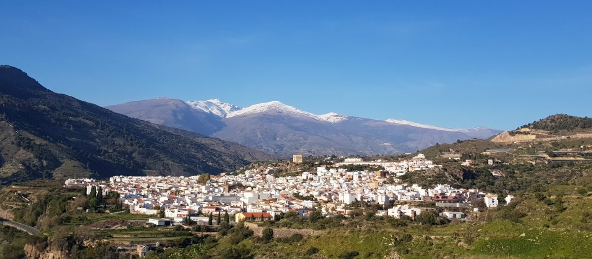 Islam se vratio u Andaluziju