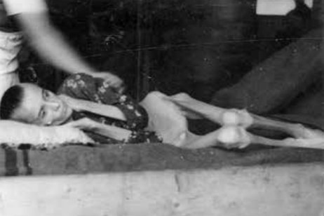 „Velika bolnica iznurenih duša i mučenika“: Užasi logora Alipašin Most