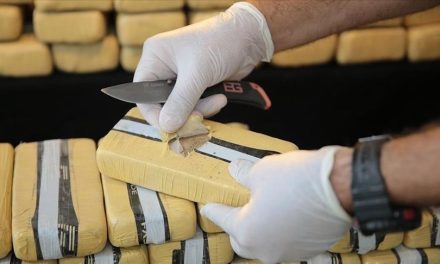 Balkanske mafijaške mreže dominiraju evropskim tržištem kokaina