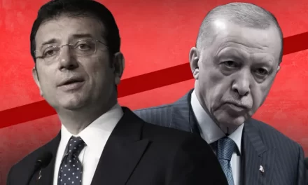 Turska opozicija pred sudom