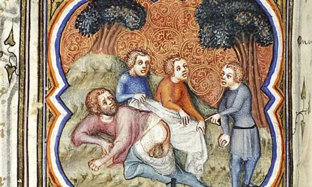 Noina arka i trgovina robljem