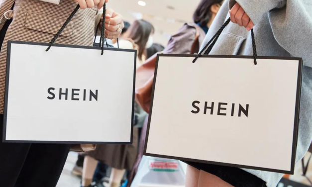 Francuska u borbi protiv “brze mode” ili samo Sheina