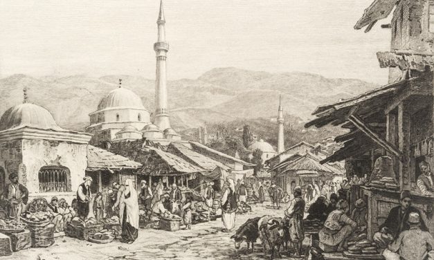 Vjera pod pečatom države: Islamske institucije i habsburški nadzor
