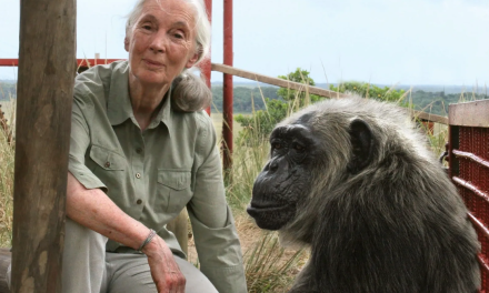 Napustila nas je Jane Goodall