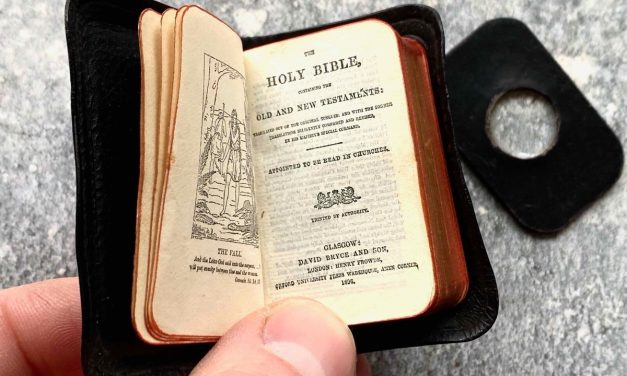 Biblija s greškom