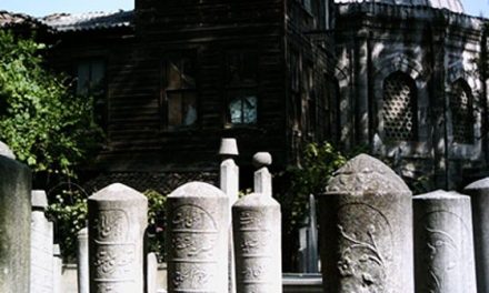 Vaše veličanstvo, ja mogu služiti samo svom bošnjačkom narodu