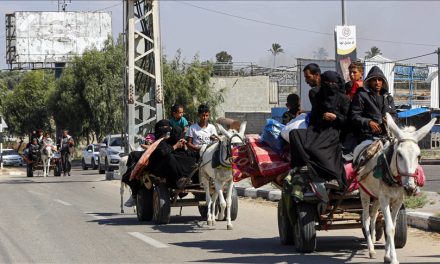 Njemačka primila na liječenje magarce iz Gaze, palestinsku djecu ne želi