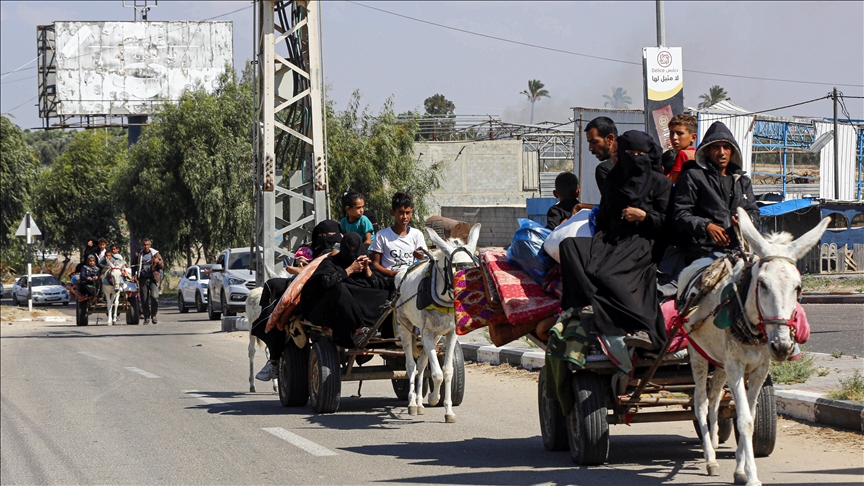 Njemačka primila na liječenje magarce iz Gaze, palestinsku djecu ne želi