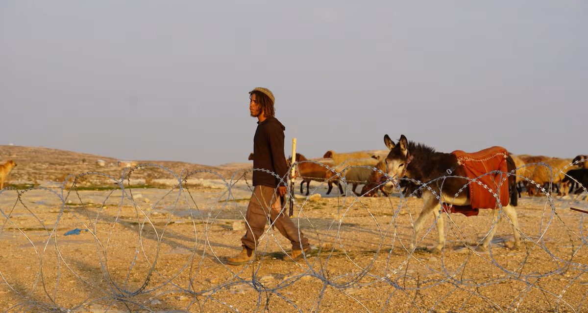 Nasilje izraelskih doseljenika na Zapadnoj obali doseže nezapamćene razmjere