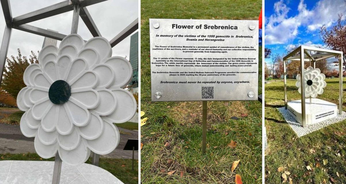 Cvijet Srebrenice u New Yorku