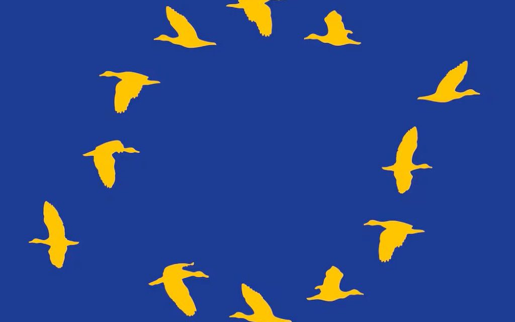 Jürgen Habermas: (Neizvjesna) politička integracija Evropske unije je od vitalne važnosti