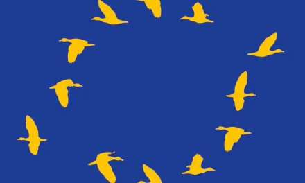 Jürgen Habermas: (Neizvjesna) politička integracija Evropske unije je od vitalne važnosti