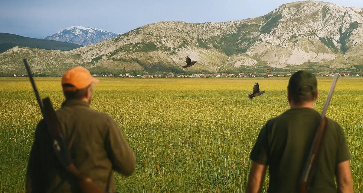 Livanjsko polje – raj za italijanske krivolovce na prepelice