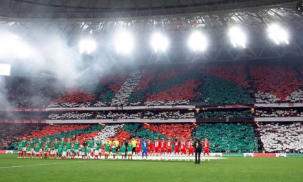 Dirljivo do suza: Historijska noć Palestine u Bilbau