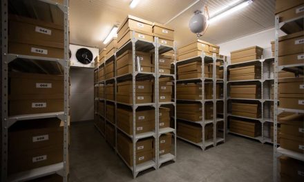 Ukrajina: Spašavanje nacionalnog blaga