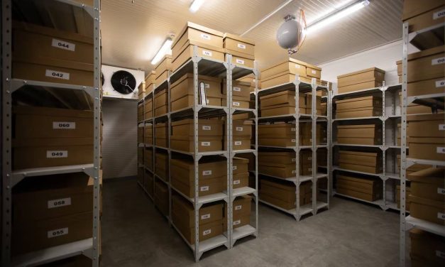 Ukrajina: Spašavanje nacionalnog blaga