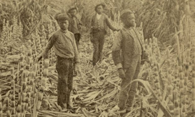 Kako je šećer postao globalna roba koja je promijenila svijet