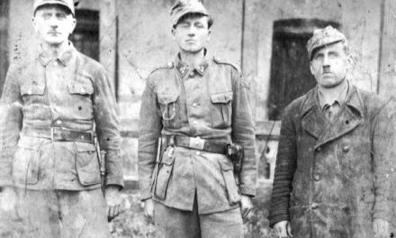 Zeleni kadar i san o autonomnoj Bosni