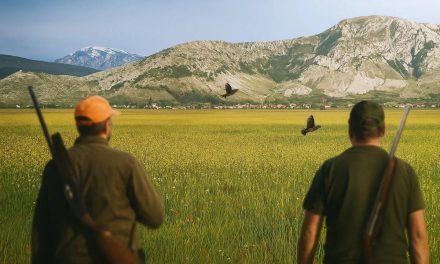 Livanjsko polje – raj za italijanske krivolovce na prepelice