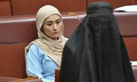 Očiti rasizam: Australska desničarska senatorka Pauline Hanson u parlament došla noseći burku, sjednica prekinuta