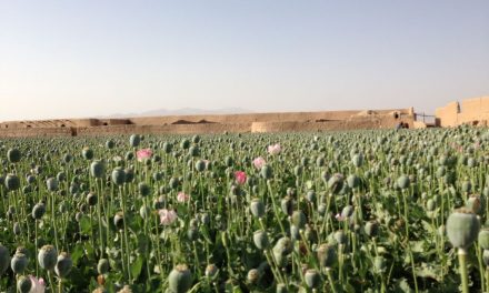 CIA-ina tajna operacija sabotaže uzgoja opijuma u Afganistanu