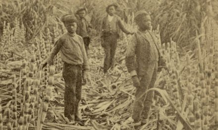 Kako je šećer postao globalna roba koja je promijenila svijet