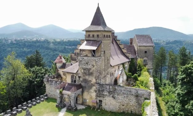 Krajišnici odlučni – otjerati tuđina sa svoje zemlje!