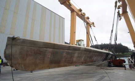 Suludo putovanje: U lijesu s propelerima preko okeana