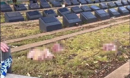 Muslimansko groblje u Sydneyu meta vandalizma