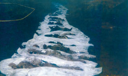 Selo ubijeno u jednom danu: Podignuta optužnica protiv šestorice Srba zbog zločina u Biljanima