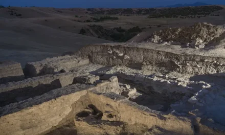 Izgubljeni grad svile