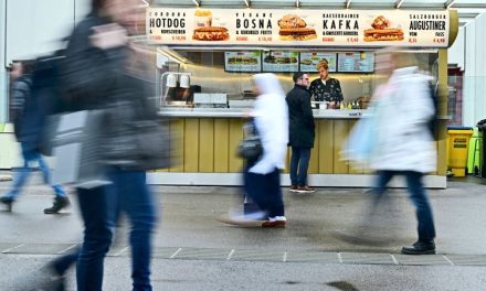 Protiv šerijata: Austrijska politika i simbolički rat bez stvarnog protivnika