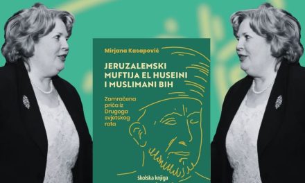 Mirjana Kasapović protiv Mirjane Kasapović