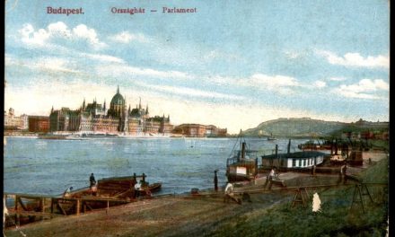 Bošnjaci muslimani u Mađarskoj i zaboravljeni zakon o islamu