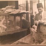 Čovjek koji je osvijetlio Poslanikovu džamiju