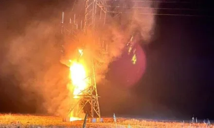 Vulkangruppe, ljevičarski „ekoteroristi“ koji mrze Muska, ostavili pola Berlina bez struje