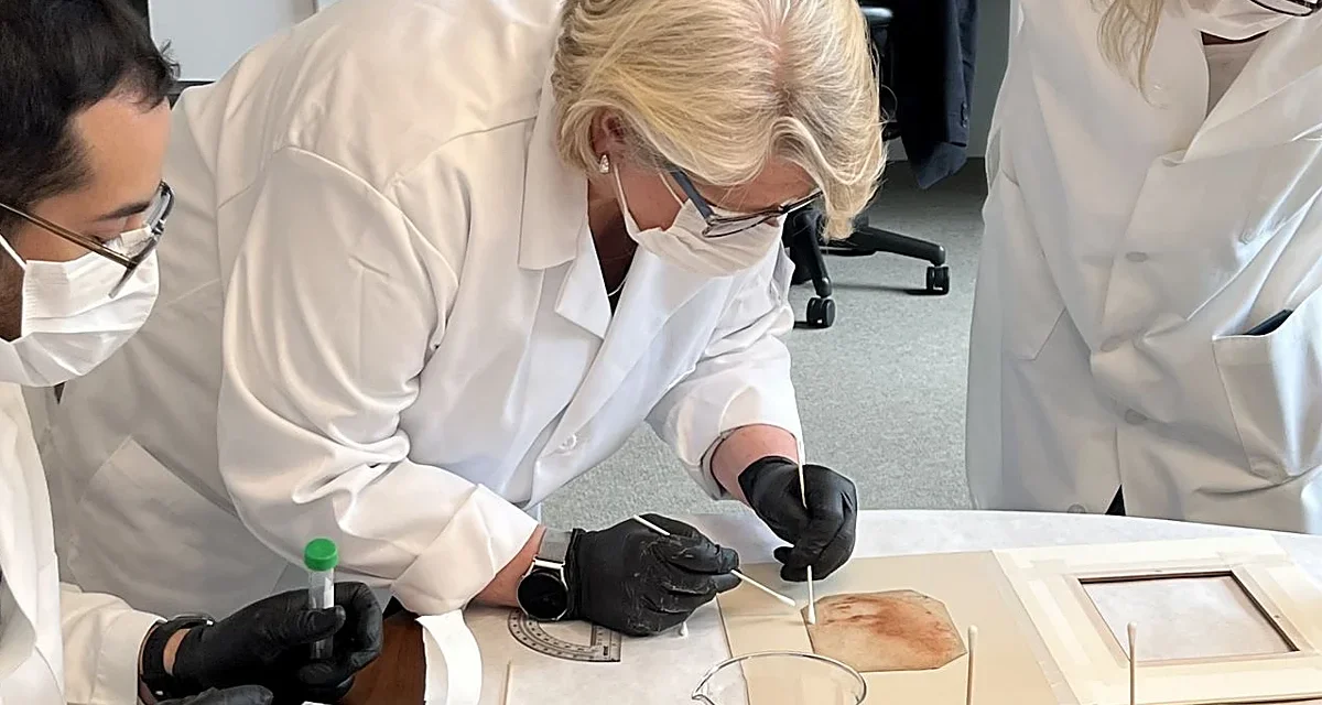 Crtež od krede možda sadrži DNK Leonarda da Vincija