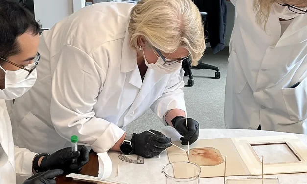 Crtež od krede možda sadrži DNK Leonarda da Vincija