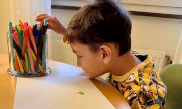 Švedske migracijske vlasti protjerale su četverogodišnjeg autističnog dječaka Raifa Terzića u Bosnu i Hercegovini